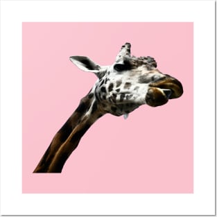 Giraffe on pink / Swiss Artwork Photography Posters and Art